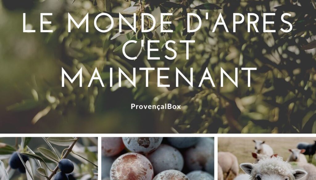 Montage-photo-daventures-en-plein-air