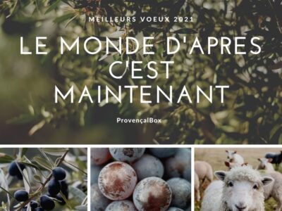 Montage-photo-daventures-en-plein-air