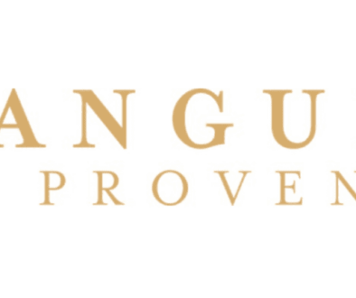 Manguin en Provence